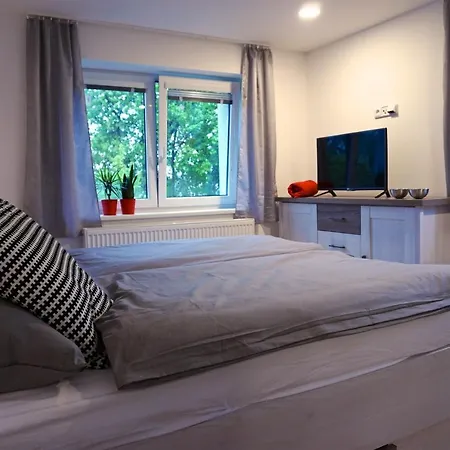 U Lipy Apartment