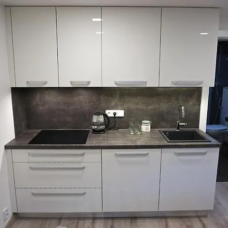 U Lipy Apartment *